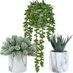 Winlyn Set of 3 Faux Succulents in Marble Pots